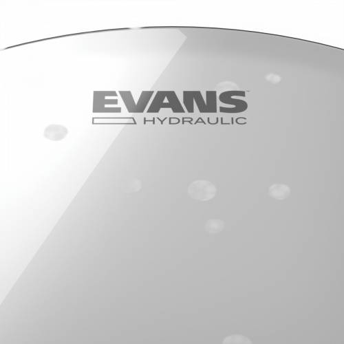  EVANS