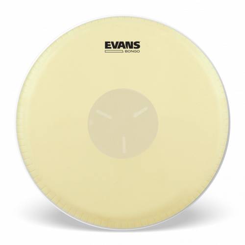  EVANS
