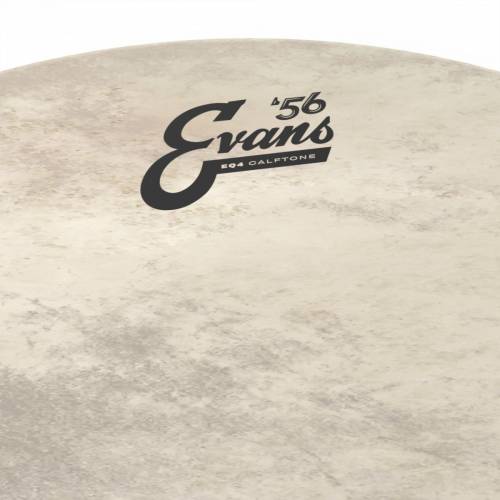  EVANS