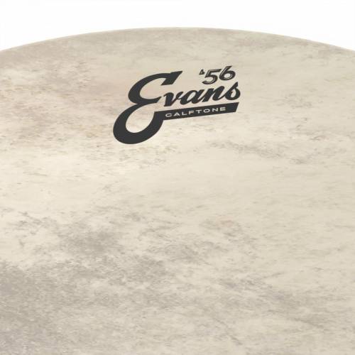  EVANS