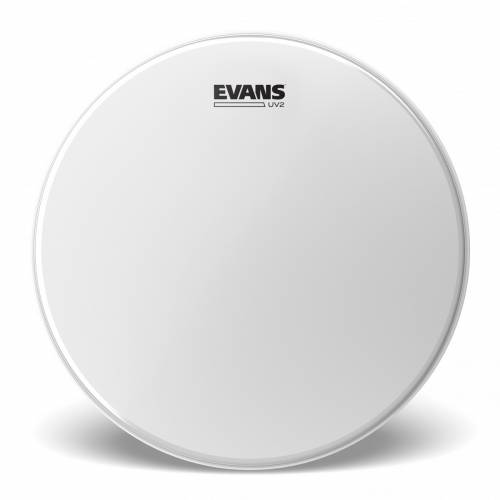  EVANS
