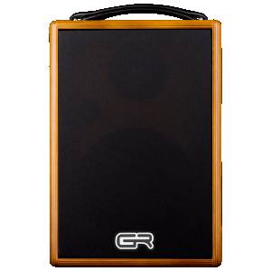Amplificatore per chitarra acust GR Guitar WD Acoustic 6