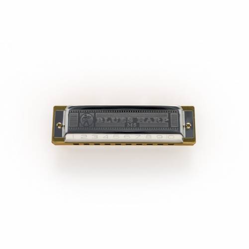 Armonica a bocca HOHNER Blues Harp C Do