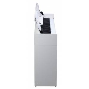  medeli CP203-WH