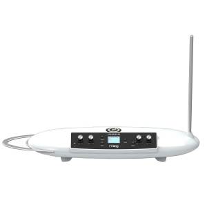 SINTETIZZATORE MOOG THEREMINI