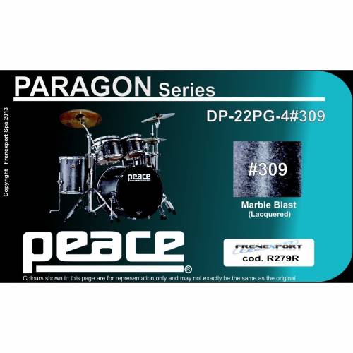  PEACE DP-22-PG-4-C1#309