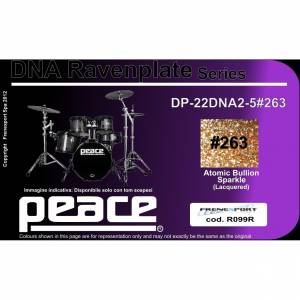  PEACE DP-22DNA2-5#263