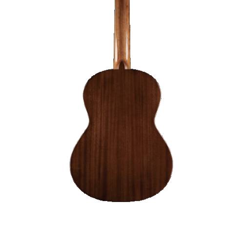 Chitarra classica RAIMUNDO R100