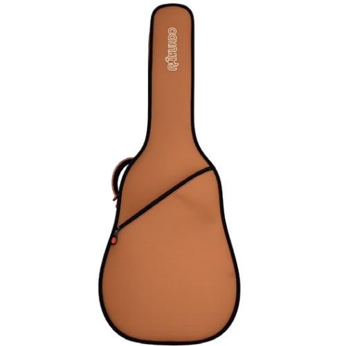 Chitarra classica RAIMUNDO R100