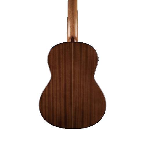 Chitarra classica RAIMUNDO R300