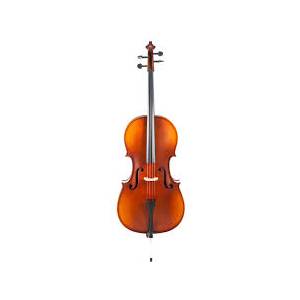 VIOLONCELLO REGHIN VCMR - C100