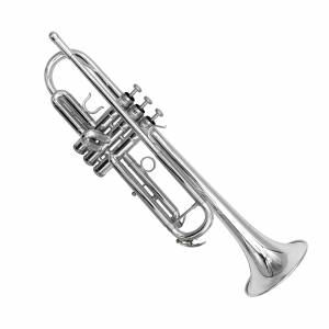TROMBA SIb RIPAMONTI 6020 Master argentata