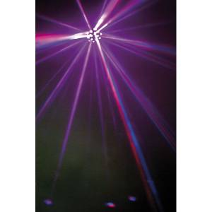 EFFETTO LUCE SHOWTEC Small mushroom led q6