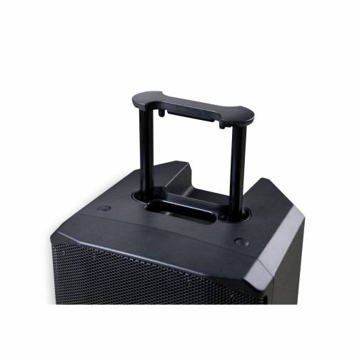 DIFFUSORE PORTATILE SOUNDSATION PROVIBE 12AIR