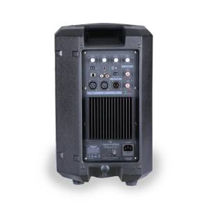 DIFFUSORE ATTIVO SOUNDSATION PROVIBE 8A