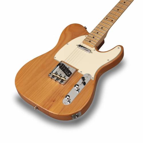  SOUNDSATION TWANGER-VINTAGE PRO-M NT