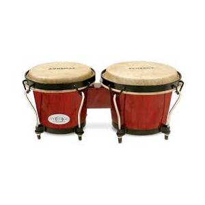BONGO TOCA 2100 rr